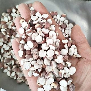 Hạt Khiếm Thực Thượng Hạng Nguyên Cám Nội Địa Trung (hạt nguyên và hạt chẻ đôi) không sấy lưu huỳnh 100g