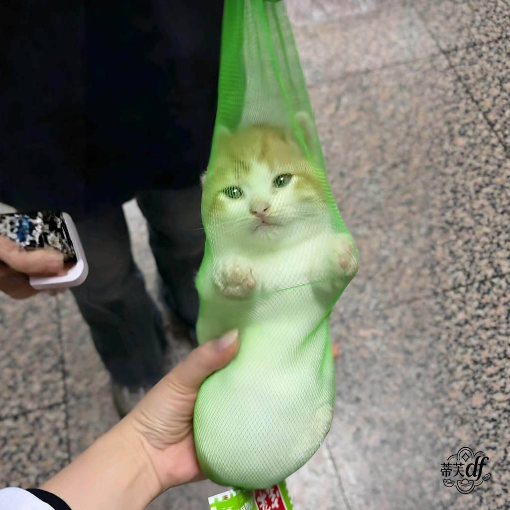 Túi Hakimi Hard North Green?Cat Net Pocket Pet Di Động Mèo Litter Du Lịch Ngoài Trời Tiết Kiệm Không