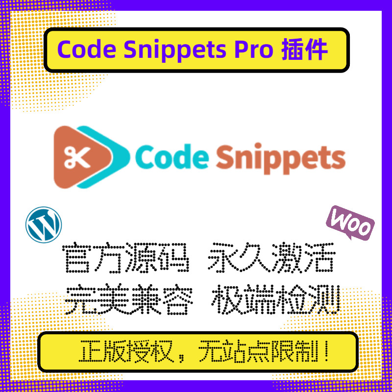 Code Snippets Pro Plug-In WP Code Segment Plug-In Multi-Station Point Station Group Plug-In Official