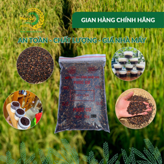  Gạo Nếp Cẩm Điện Biên 1kg Đặc Sản Dẻo Thơm Nấu Xôi Sữa Chua 