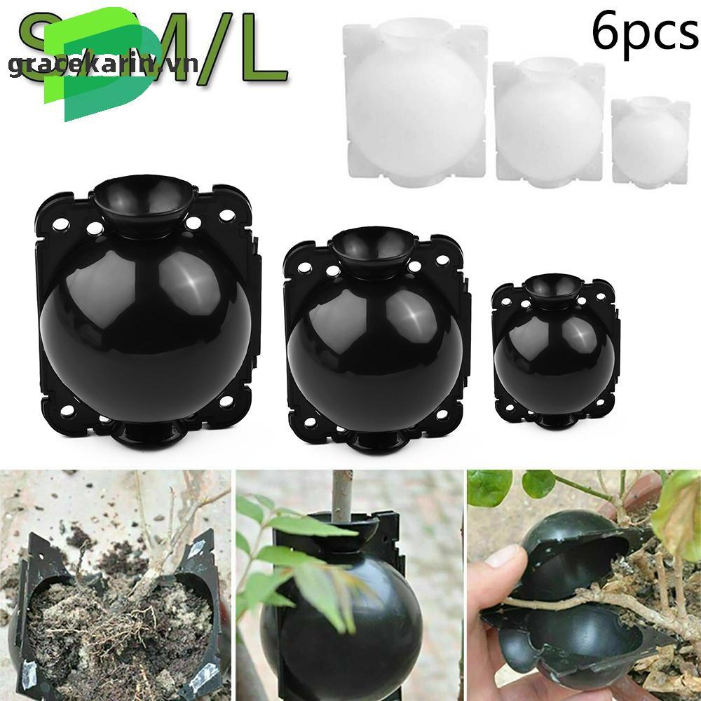 [GRCEKRIN-VN]Plant Rooting Boxes White 6PCS Set 6PCS set Agent Ball Grafting Root Device