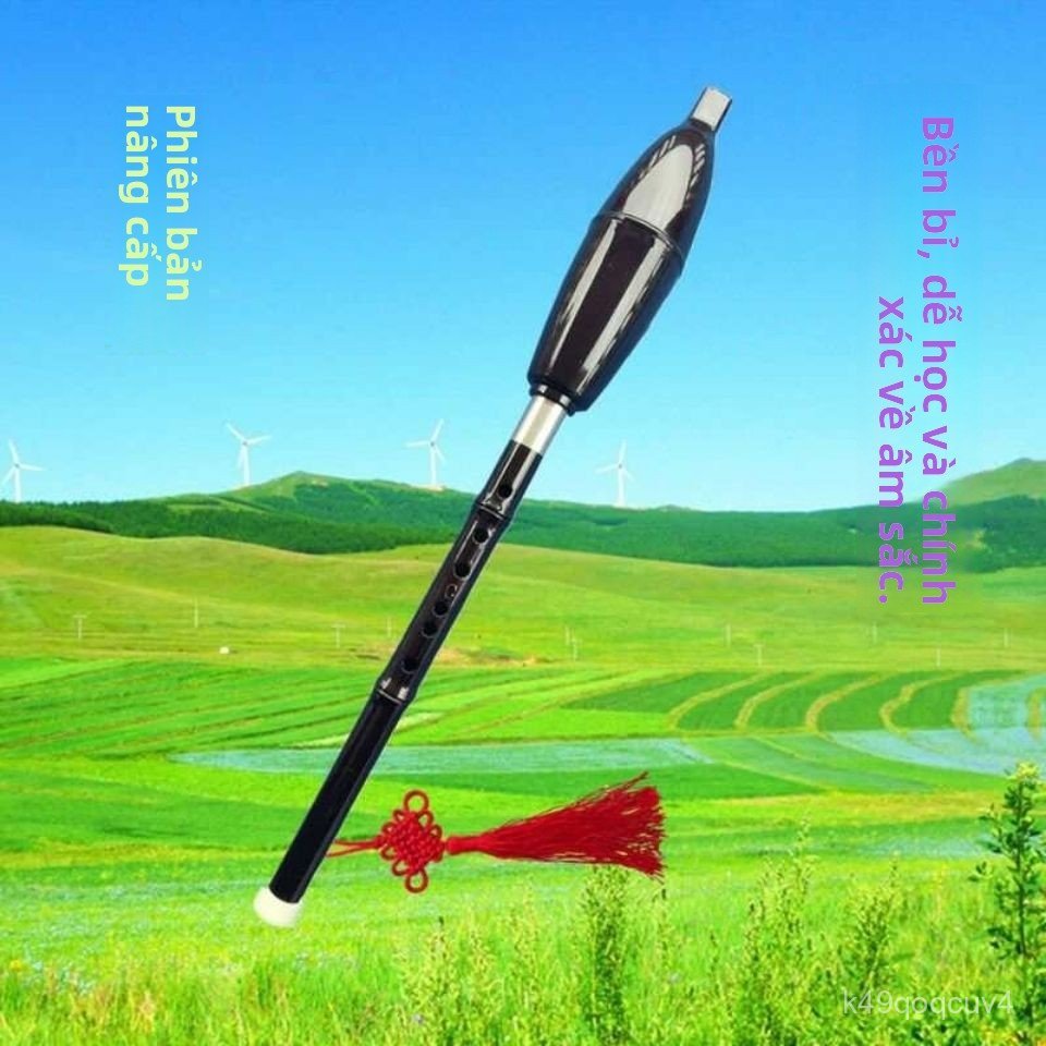 Dan bawu nhac cu cho nguoi moi tap choi nguoi lon tre em cap do chuyen nghiep tone C giam B b b b b 