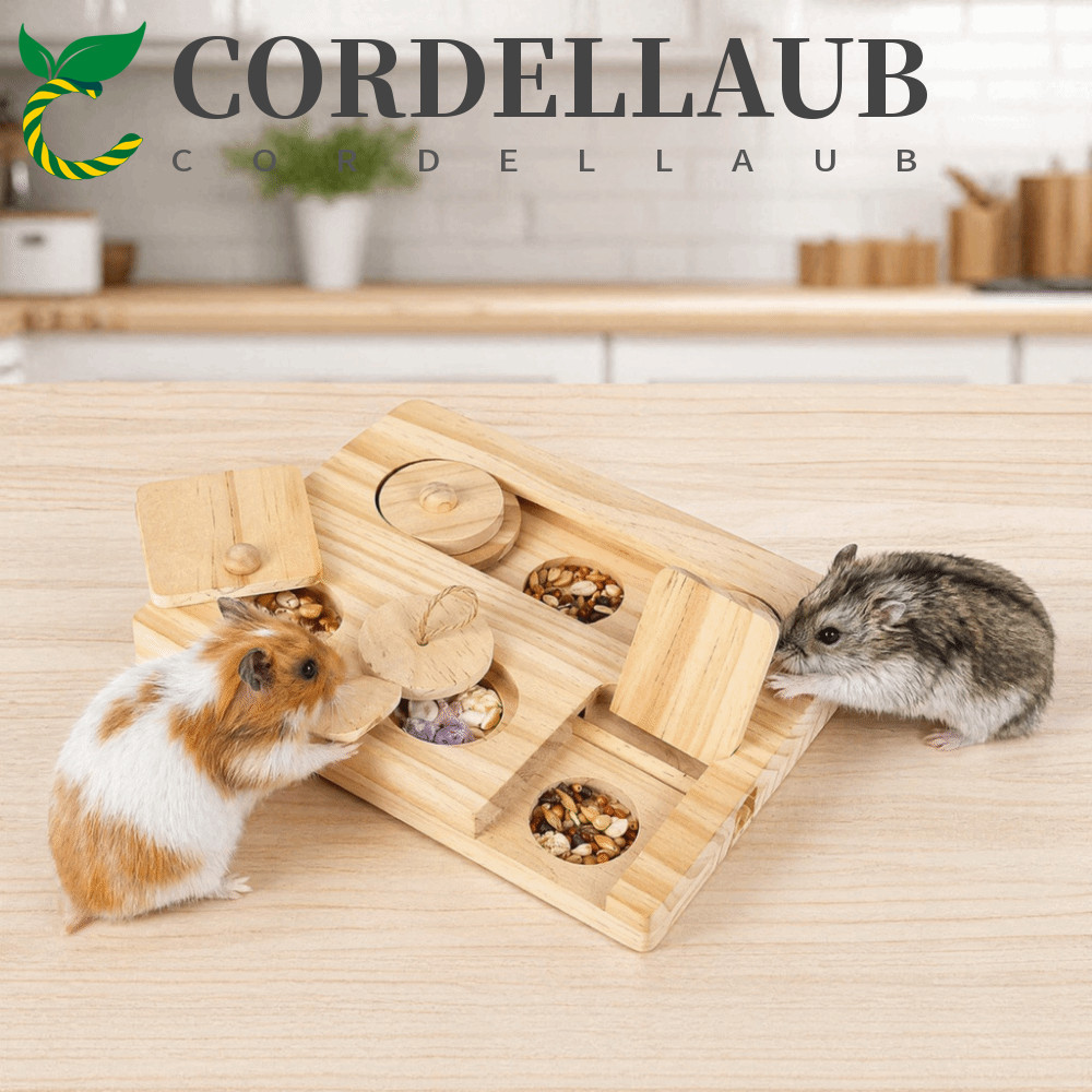 Đồ chơi tìm kiếm thức ăn cho chuột hamster CORDELLAUB, Hộp đựng thức ăn cho chuột hamster bền, Hộp đ