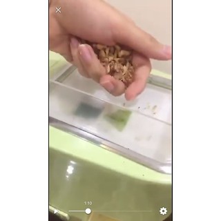 Dầu óc chó tự ép 100ml