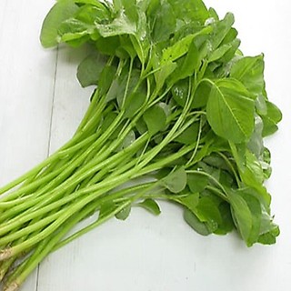 Hạt giống rau dền