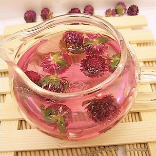 500gr Cúc Bách Nhật Tím
