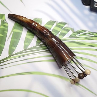 Bọ cạp hoa khế sừng đen 1