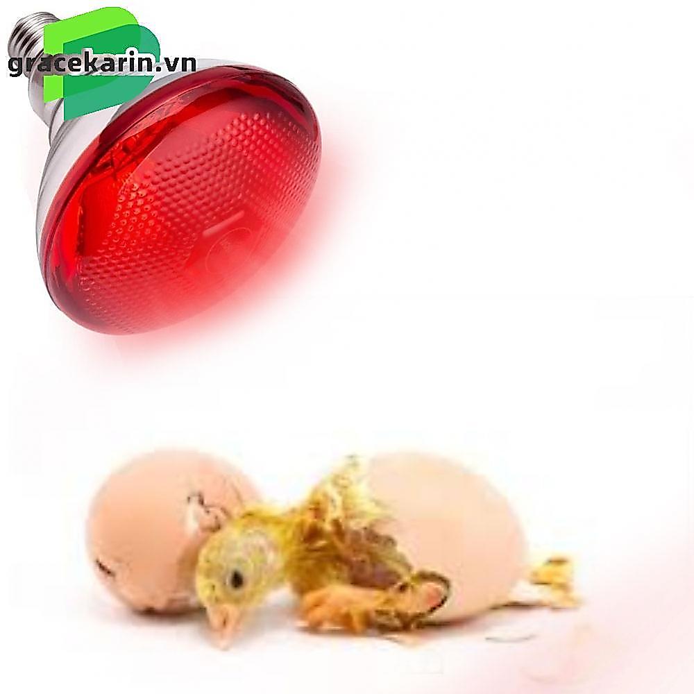 Heat Lamp 5,000 Hours Lifespan E27 Base Compatibility Near-Infrared Emission