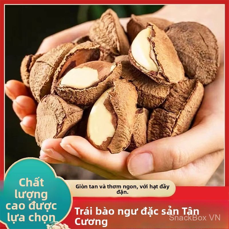 Hạt Brazil rang muối, hạt to, cho bà bầu, ăn vặt, giao nhanh