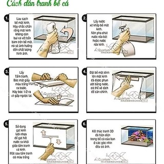 [Tặng Đồ Dán+Sticker] Tranh 3d dán bể cá trang trí bể cá nhiều kích thướt chọn lựa 1443