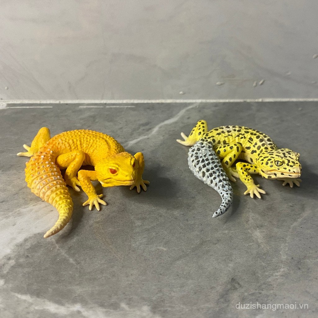Bán chạy Hàng số lượng lớn KAIYODO CapsuleQ CapsuleQ Animal Capsule Toy Gecko Leopard Print Gecko Li