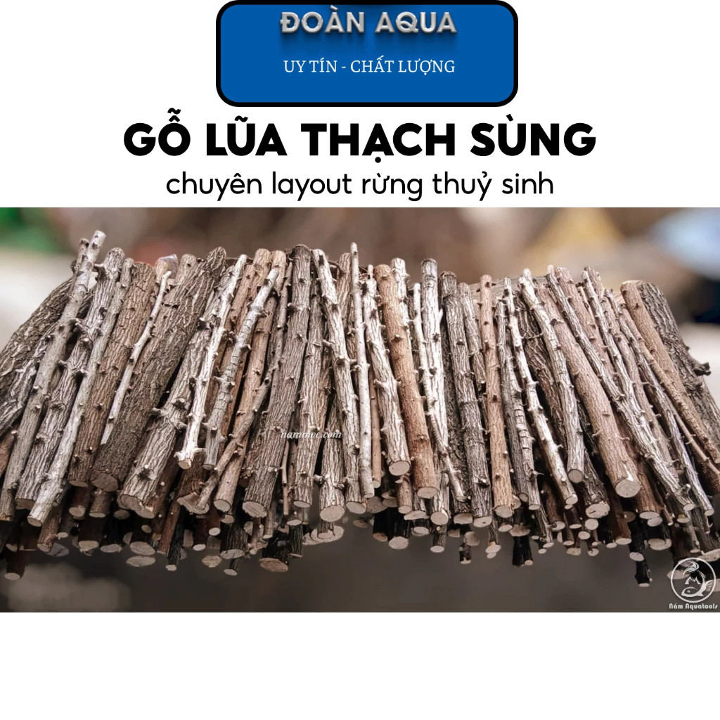 Lũa Gỗ Thạch Sùng (1kg) | Lũa Setup Layout Rừng Tự Nhiên Cho Bể Thủy Sinh
DD Aqua