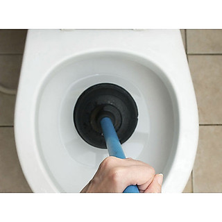 Cây thụt bồn cầu