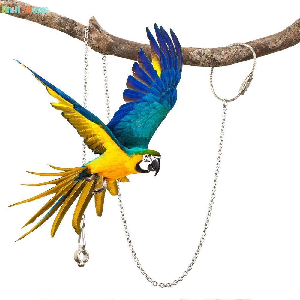 GIỚI HẠN SHOWS Parakeet Foot Chain Starling 1 Chiếc Cockatiel Ngoài Trời Bạc Bay Huấn Luyện Chim Đứn