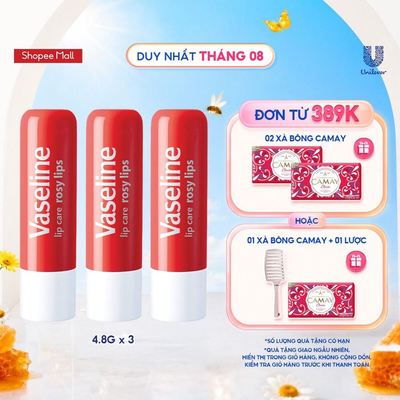 Bộ 3 son dưỡng môi Vaseline Lip Care Hồng Xinh dạng thỏi 4.8g