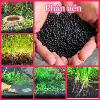 Phân nền trồng cây thuỷ sinh, lót nền ít bụi