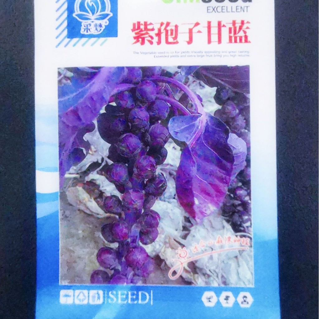 Tím Spore Kale Seed Tím Hug Kale Seed Red Hug Kale Vegetable Seed Green Kale Seed