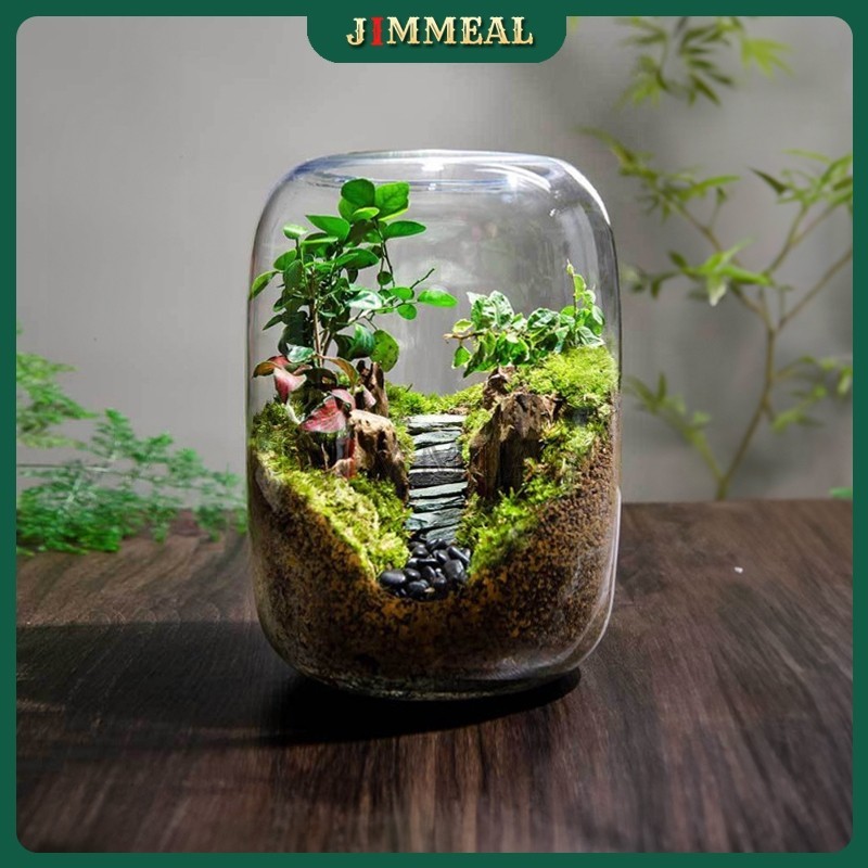 [Bao Vỡ] Bình Thủy Tinh Trụ Tròn Trồng Cây, Cắm Hoa, Nuôi Cá, Trồng Terrarium, Làm Tiểu Cảnh JIMMEAL
