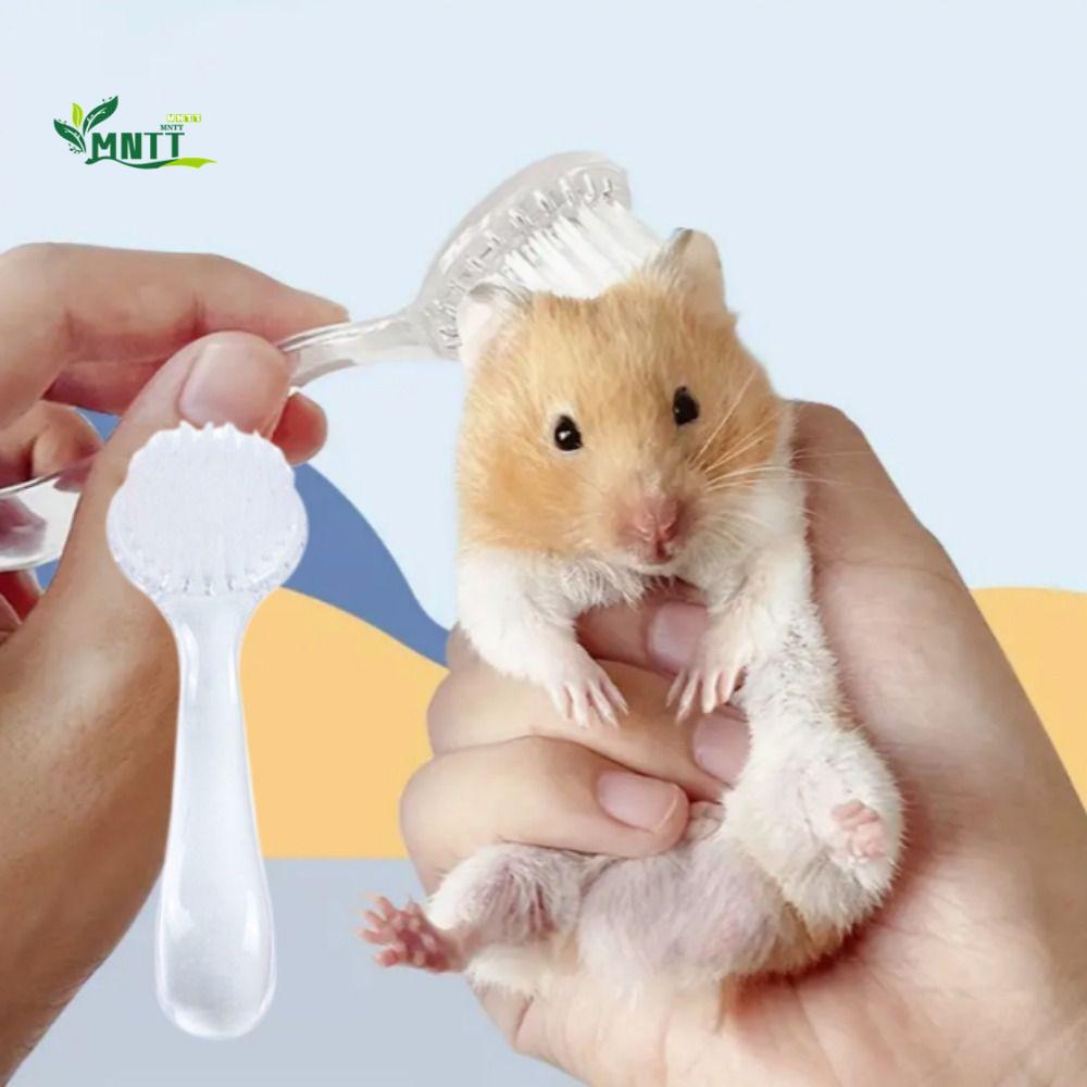 MNTT Golden Bear Cleaning Lược Tắm Mini Chải Lông Di Động