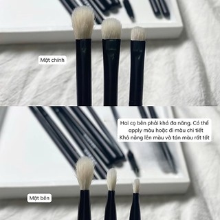 Bộ Cọ Trang Điểm Morphe Eye Obsessed Brush Set Cho Mắt. Cọ Mắt 12 cây. Set Cọ Mắt