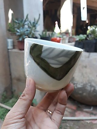 Chậu Gốm Trồng Sen Đá, Xương Rồng