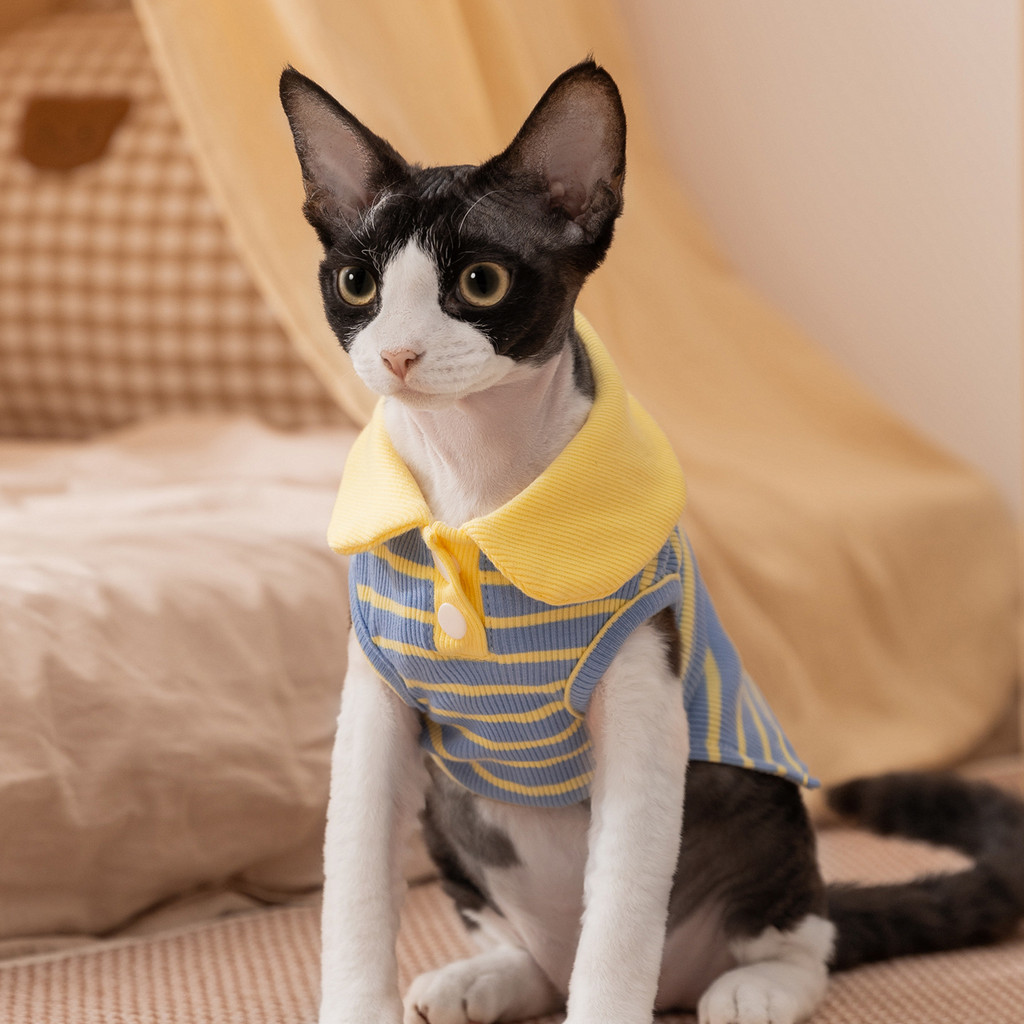 Autumn and Winter Cat Clothes Color Stripes Cute Pet Lapel Cute T-shirt Sleeveless Bottoming Shirt T