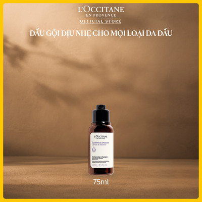 [HB GIFT] Dầu Gội Dịu Nhẹ Cho Mọi Loại Da Đầu