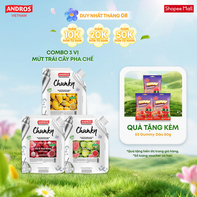 Combo 3 Túi Mứt Trái Cây Pha Chế - Có miếng trái cây thật  - Nguyên liệu pha chế - ANDROS CHUNKY - 1kg