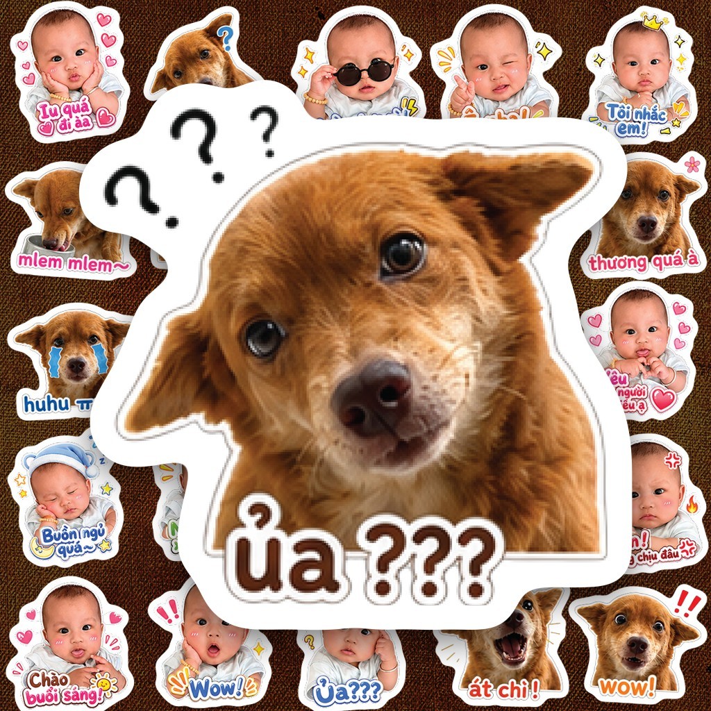 Sticker IN LASER Custom In Ảnh Theo Yêu Cầu