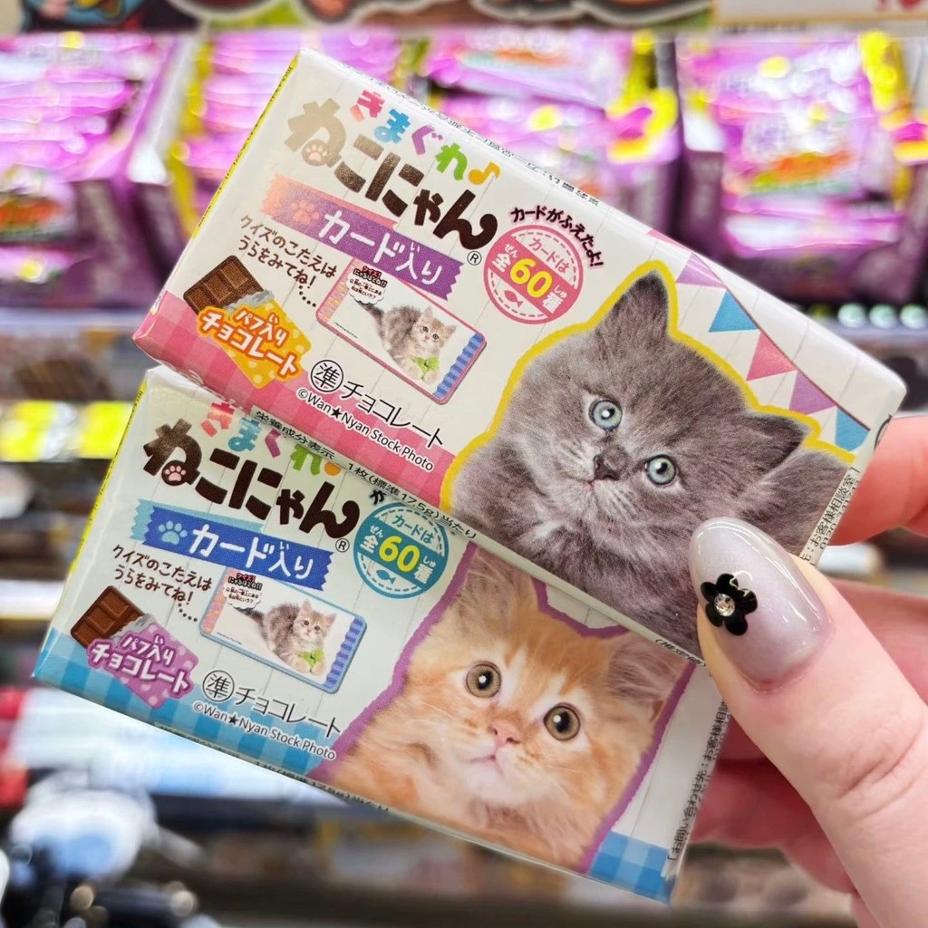 Donki Chó Mèo Dễ Thương Ngọt Sô Cô La Nhập Khẩu Vui Nhộn Đồ Ăn Nhẹ Quà Tặng Bộ Sưu Tập Chữ Tay#donki
