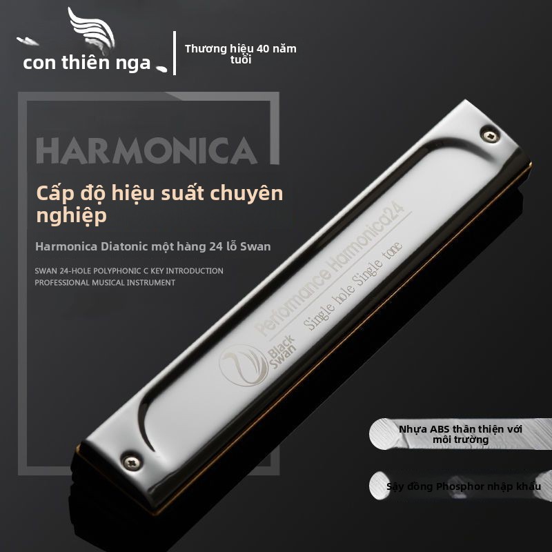 Harmonica 24 lỗ giọng C chuyên nghiệp cho nam giới người mới học