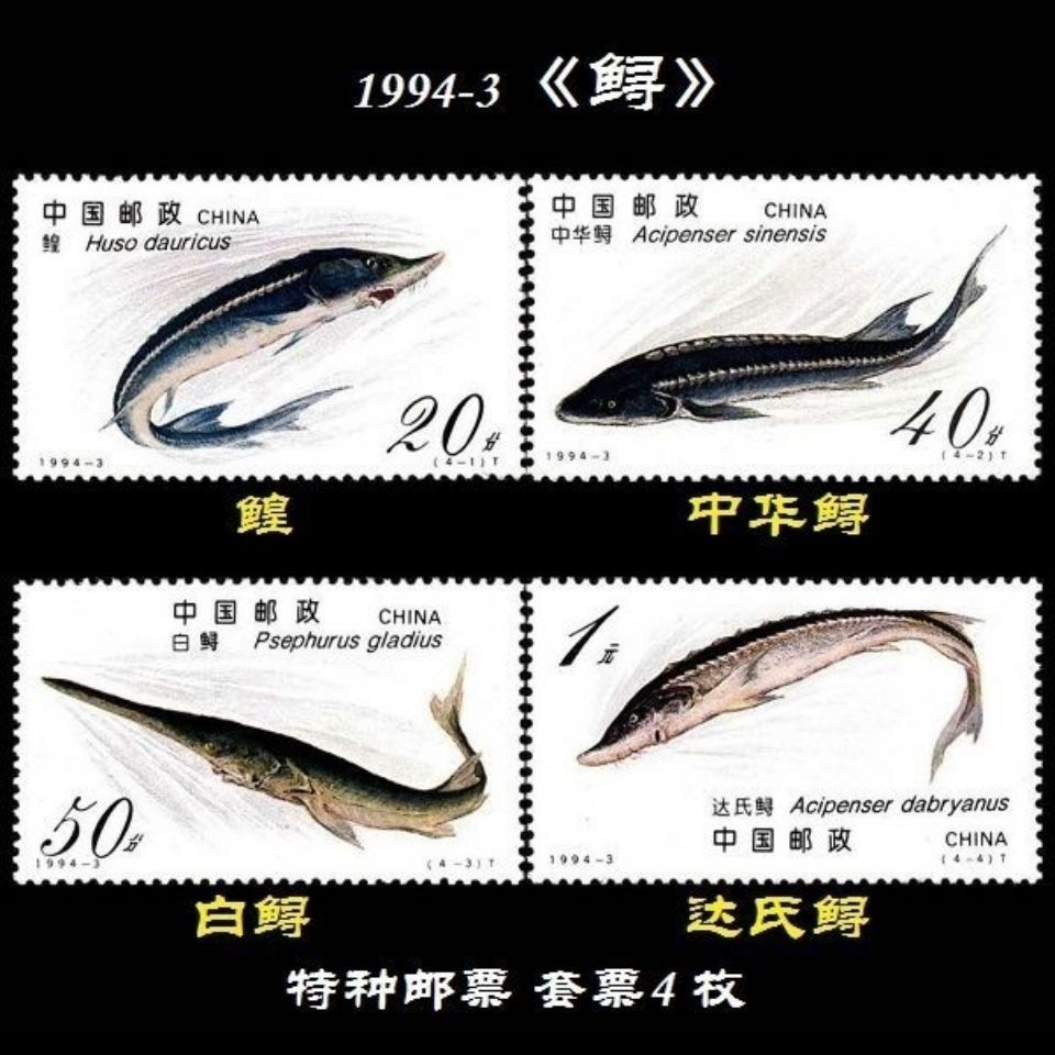 Can Mail 1994-3 Sturgeon Mail Bưu Thiếp Bộ Sưu Tập Tem Gói Chính Hãng Tất Cả Các Sản Phẩm
