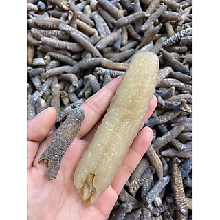 Hải Sâm Úc khô ( size 100g )