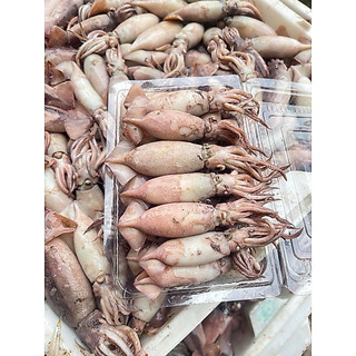 Mực sim hấp sẵn 1kg (giao tphcm)