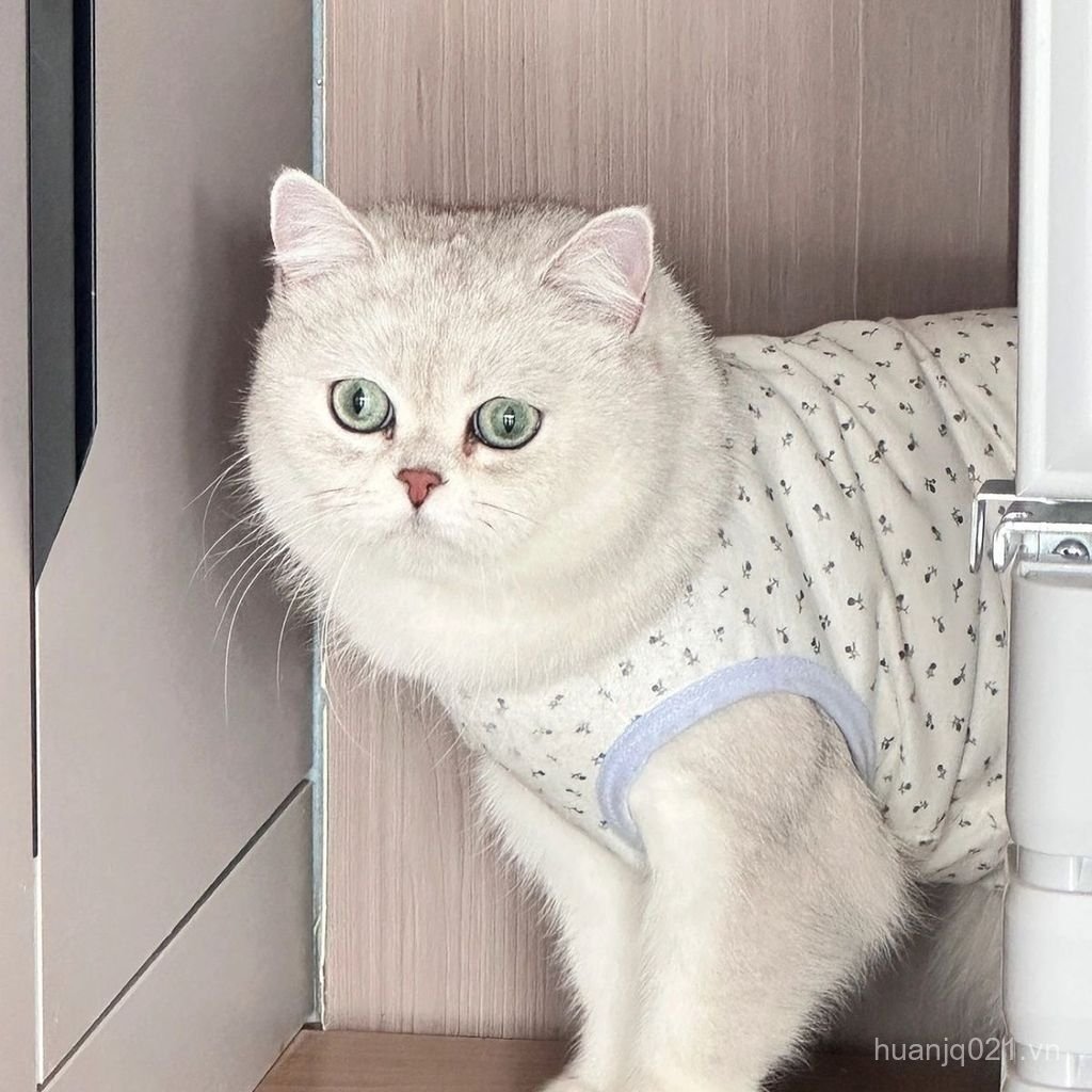 [Giảm giá] Quần áo thú cưng Bichon Pomeranian Dog Schnauzer Puppy Teddy Poodle Chó nhỏ Bichon Muppet