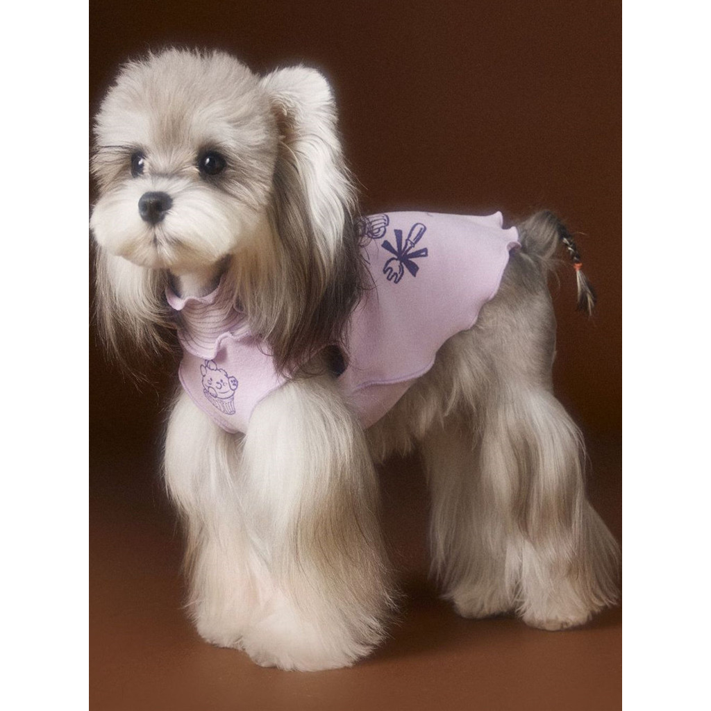 Tony Gấu Con Chó Con Quần Áo Mùa Thu Áo Schnauzer Pomeranian Shiba Inu Chihuahua Dachshund Mèo Malte