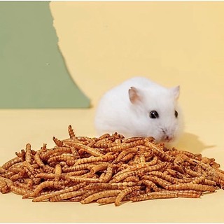 Sâu khô cho Hamster , sóc , cá , Vẹt chai 100-330ml – Giàu đạm, dễ tiêu | Hamster Petshop1