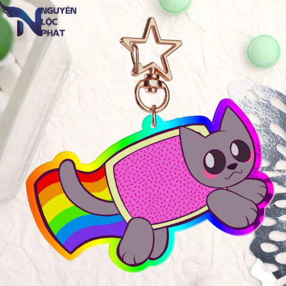 Nyan cat/tac nayn Acrylic Keychains 62 nlp