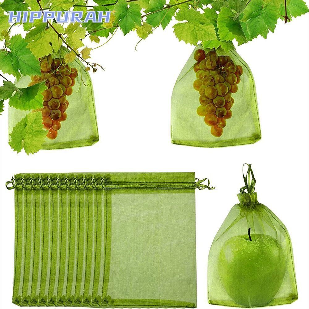 HIPPURAH 30 Chiếc Túi Trái Cây Chống Côn Trùng Kiểm Soát Dịch Hại Người Trồng Túi Bảo Vệ Thực Vật Ho