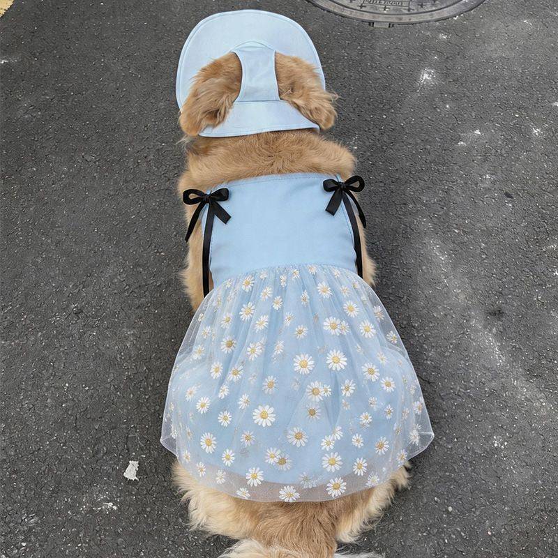 Dog Clothes and Dresses Decoration Spring and Summer New Clothes Golden Retriever Dog Samoyed Border