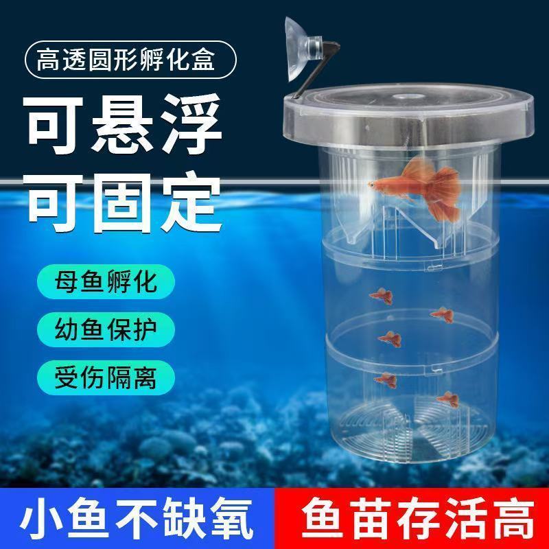 Fish tank isolation box, guppy breeding box, female guppy spawning box, small fish tank internal tub