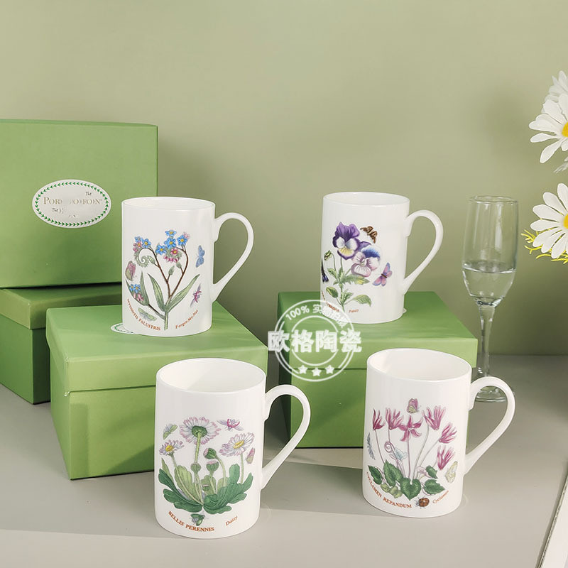 CGCQ Bone china coffee mug, Potter's Garden series exquisite ceramic mug gift set