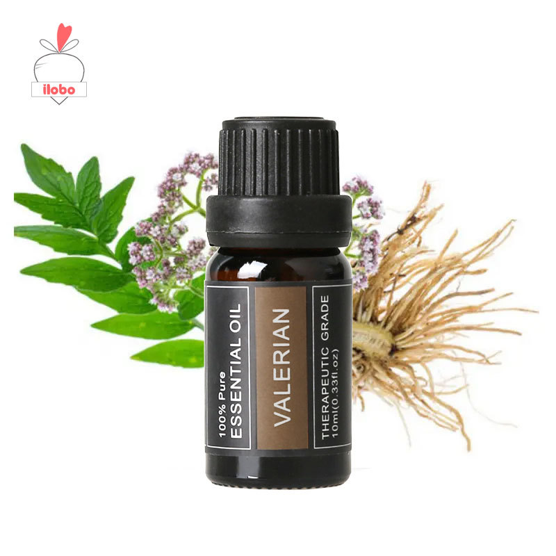 Valerian Valerian Tinh dầu thơm Máy tạo độ ẩm Máy khuếch tán hương thơm Công thức đơn Thiền Gel iobo