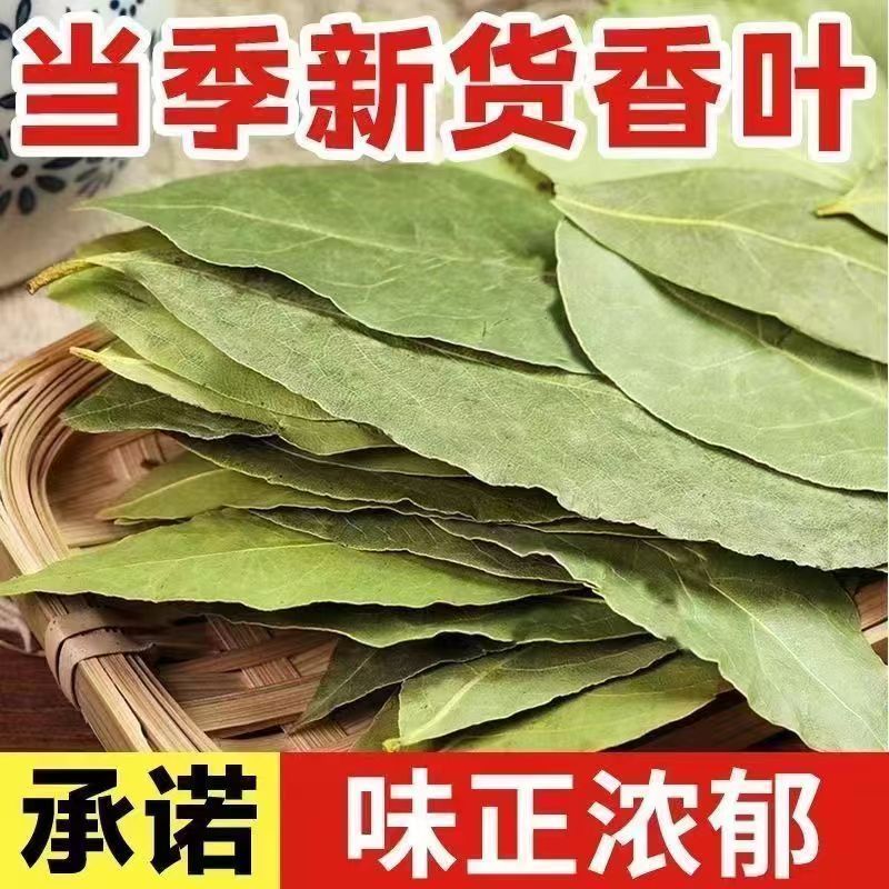 Fresh First Stubborn Lá thơm Sản phẩm mới Sản phẩm mới Lá thơm Không chứa lưu huỳnh Lá thơm Gia vị
