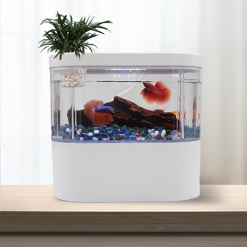 4L Mini Fish Tank external volume Table Top Tank With Led Lights And Pump Feeding Port Design Aquari