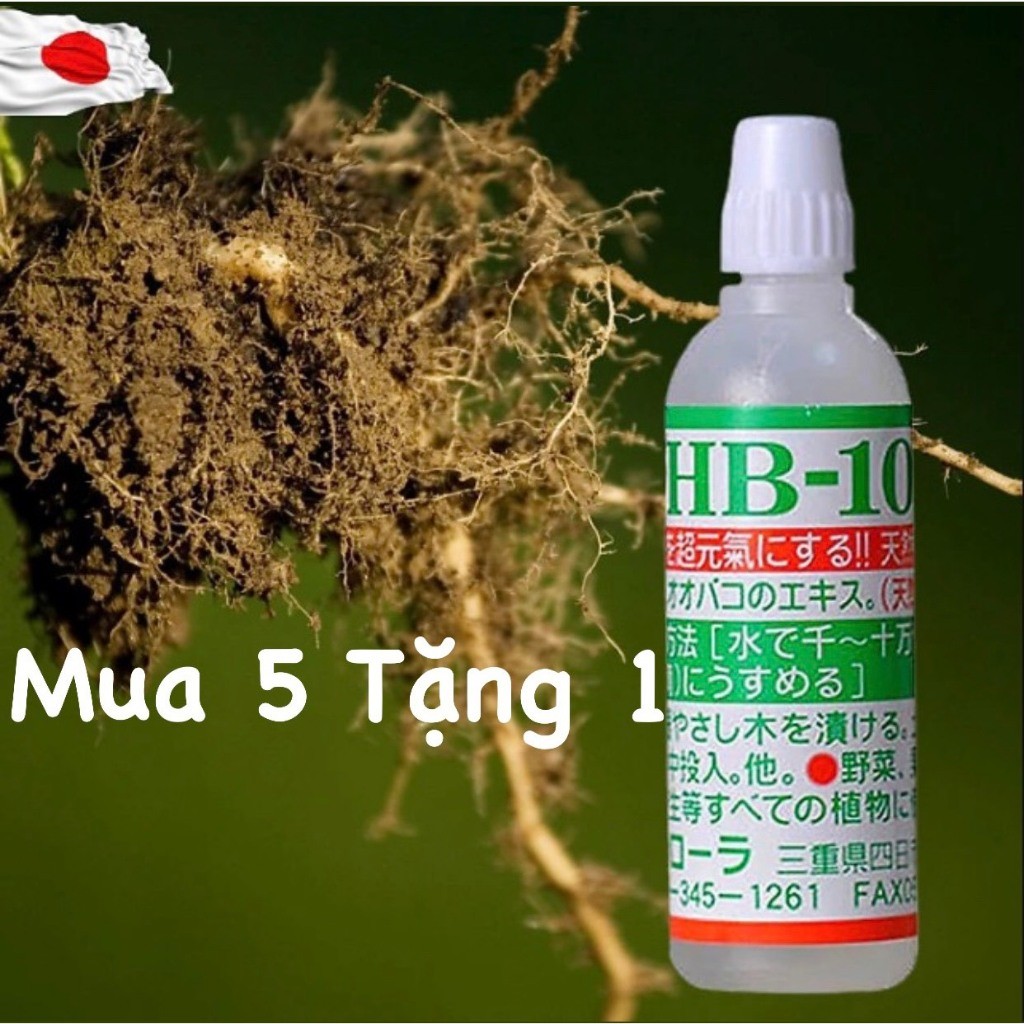 [ Mua 5 tặng 1 ] Siêu kích rễ HB 101 nội địa Nhật Bản