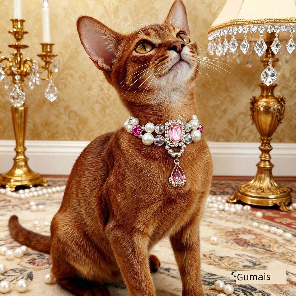 vòng cổ cho mèo Dây chuyền dành riêng cho mèo Abyssinian, vòng cổ trang sức đính ngọc trai quý phái,