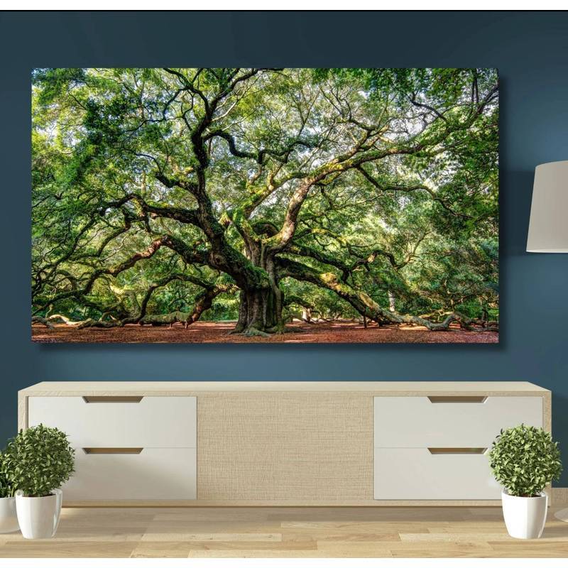 Angel Oak Tree Canvas Print, Giant Live Oak Nature Wall Art