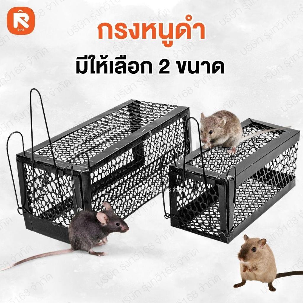 Lồng Chuột Đen Nữ Hoàng Cá Size Lớn QF-H333 Và Nhỏ QF-H334 / Bẫy / 2 Bẫy Lò Xo Có Thể Gập Lại