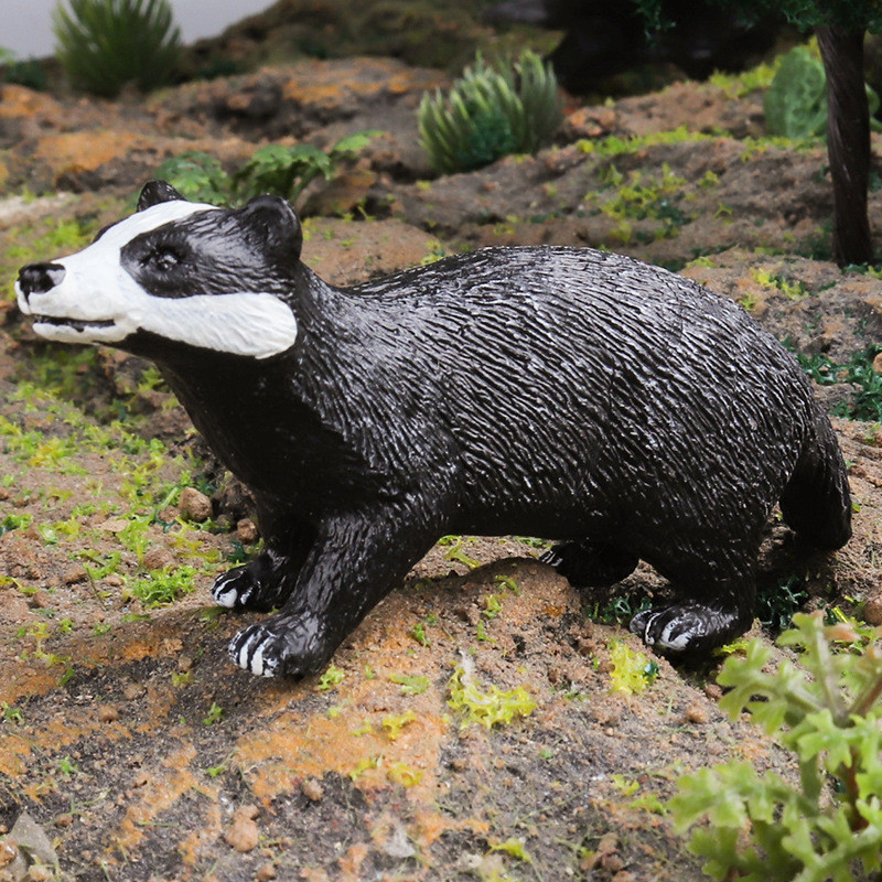 Chắc Chắn Mô Phỏng Động Vật Đồ Chơi Mô Hình Động Vật Châu Âu Badger Chó Badger Weasel Keshan Badger 